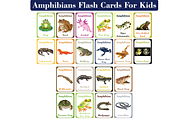 Amphibians Flash Cards For Kids, a Card Template by DigitalsDesigns (Thumbnail 1 of 6)
