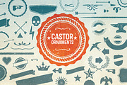 Castor Complete Family, a Sans Serif Font by Albatross (Thumbnail 4 of 5)