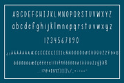 Simply Slim - Skinny font, a Sans Serif Font by Stacy's Digital Designs (Thumbnail 2 of 5)