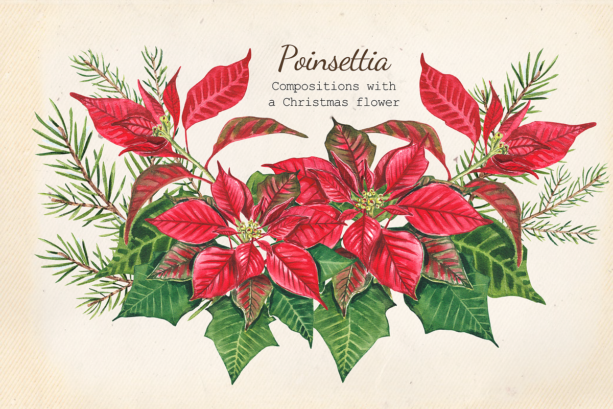 Christmas Treats & Decor watercolor, a Decorative Illustration by Nastya Che (Photo 3 of 11)
