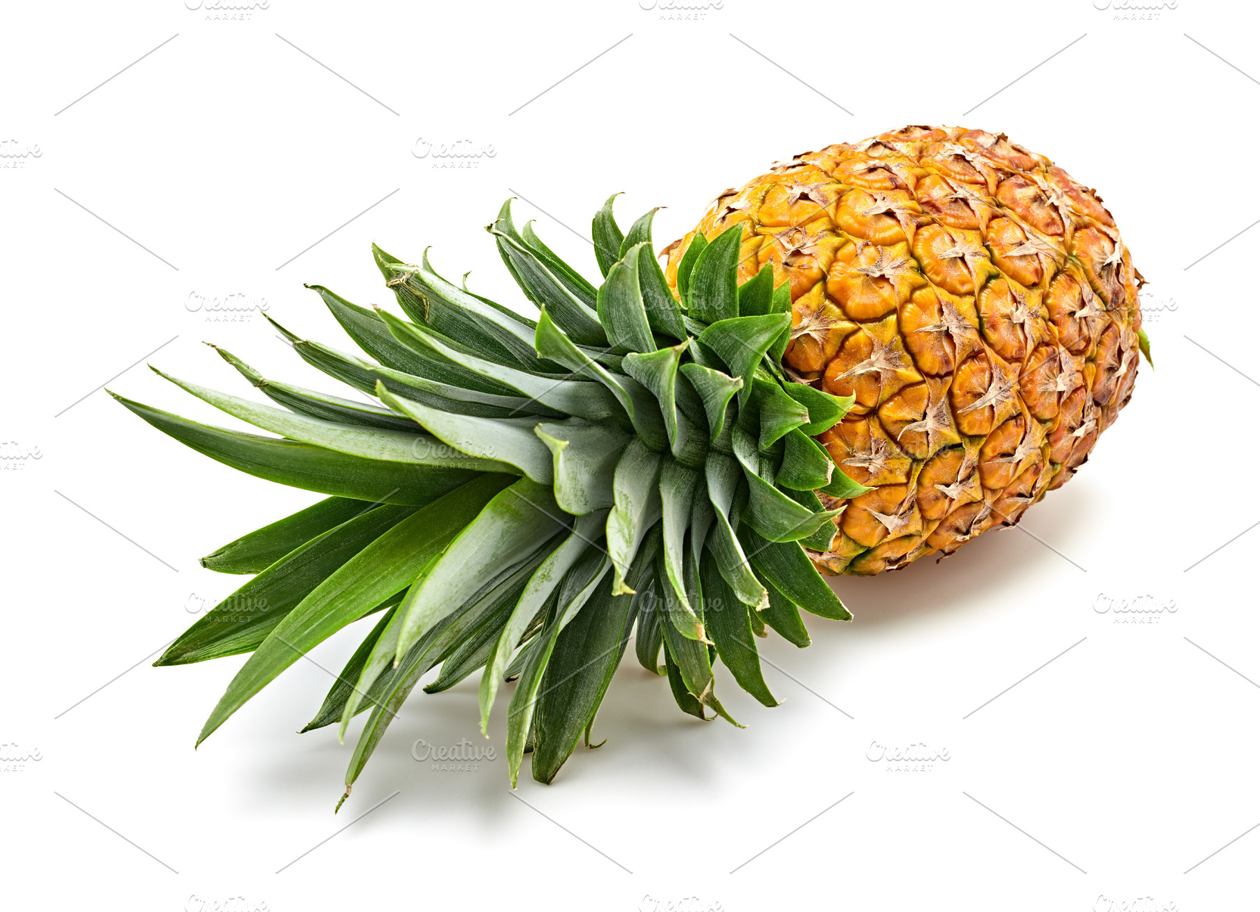 Pineapple fruit slices on white fu featuring pineapple, fruit, and citrus, a Food & Drink Photo by iBear