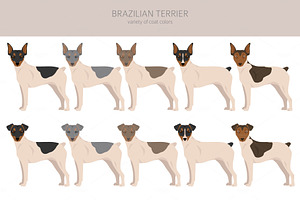 Brazilian Terrier Clipart