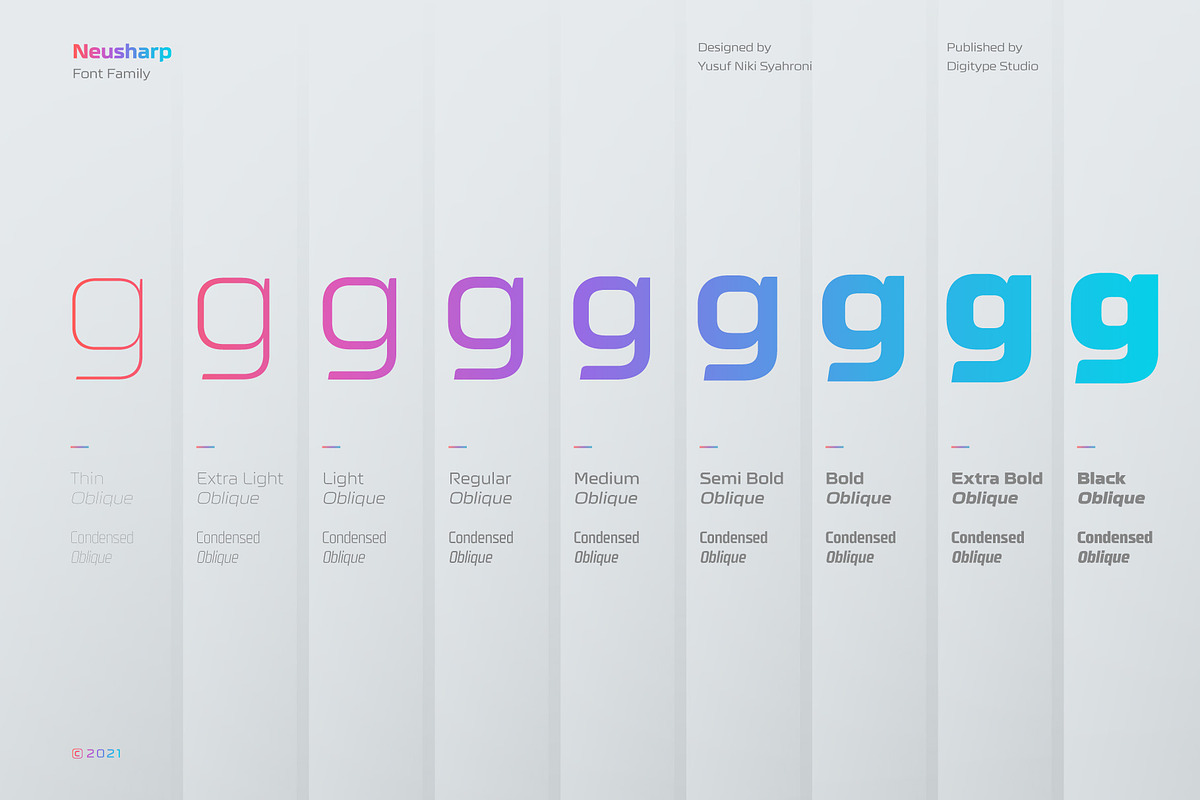 Neusharp Complete Family, a Sans Serif Font by Digitype Studio (Photo 2 of 12)