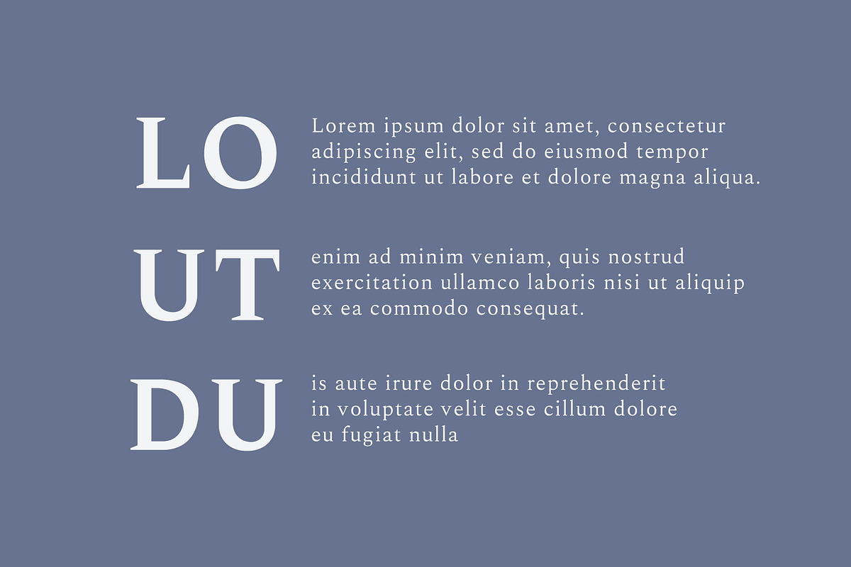 Madelin Serif Font Family, a Serif Font by Creativetacos (Photo 13 of 13)