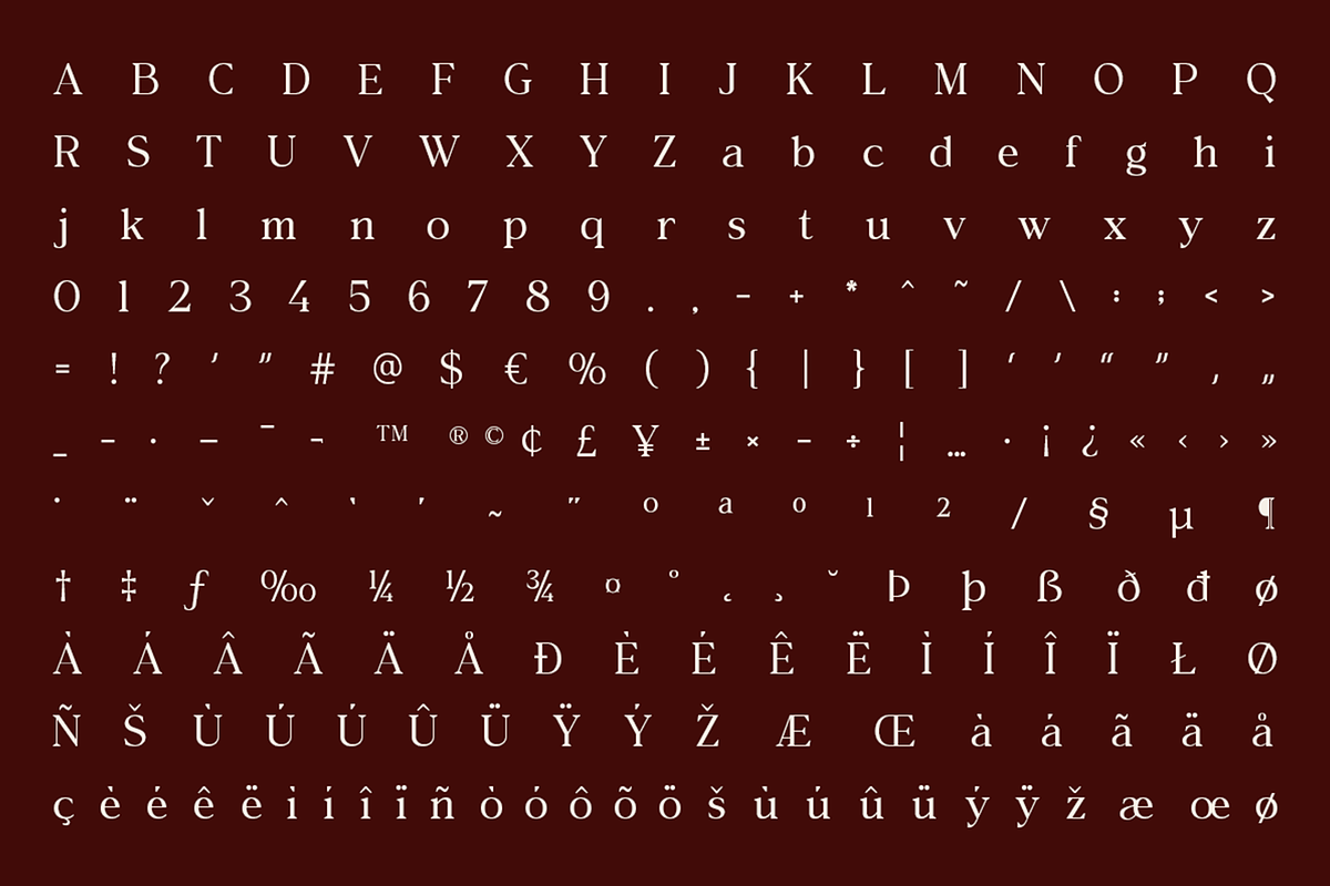Vioneta Sloane – Serif Font, a Serif Font by roomspace creative lab (Photo 14 of 14)