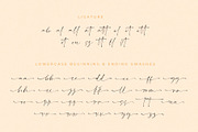 Sattamy Signature | handwritten font, a Script Font by Beautypes (Thumbnail 8 of 8)