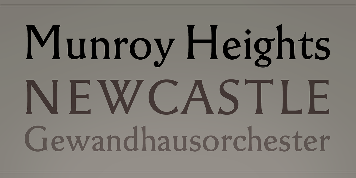 Whystor, a Serif Font by Andreas Stötzner (Photo 5 of 11)