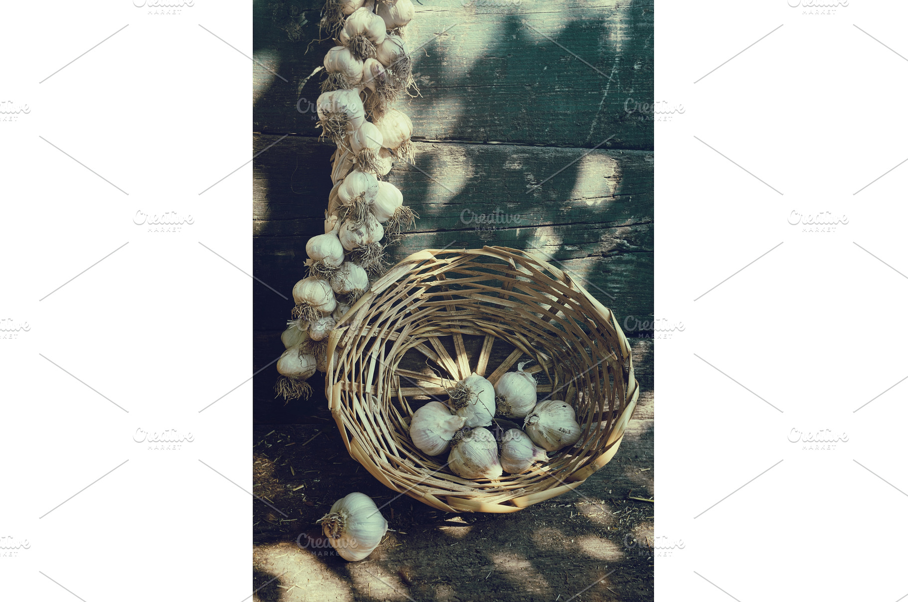 Rustic still life with garlic bulbs, a Food & Drink Photo by Rohan Photography