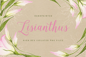 Lisianthus Flowers 