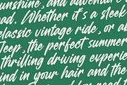 Heighaps Wastone Modern Brush Font, a Script Font by Letterena Studios Script (Thumbnail 11 of 20)