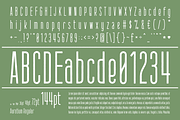 AURATIUM Regular & Slab Typeface, a Slab Serif Font by Alex-Banks Type (Thumbnail 3 of 13)