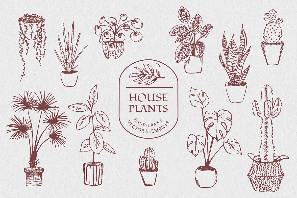 Plant Lover Vector Illustration Set, an Object Illustration by Annakaroline (Photo 8 of 8)