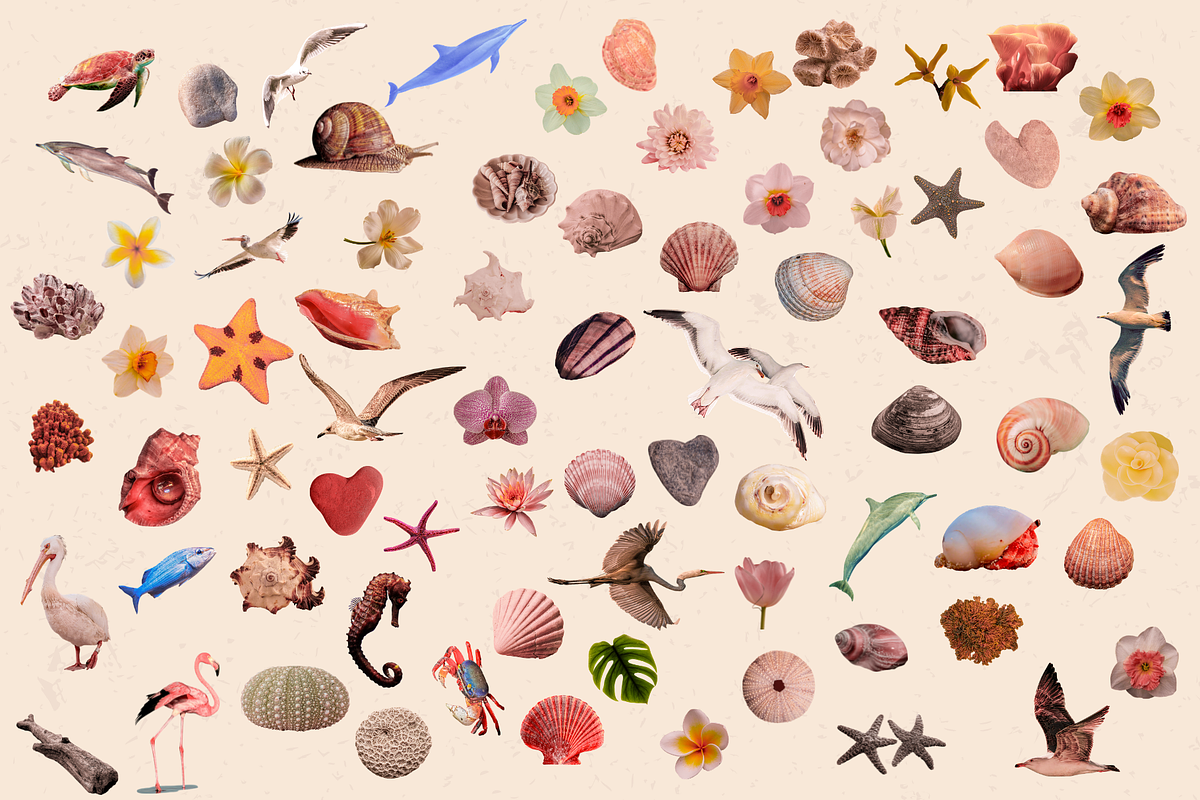Seaside Diary Coastal Collage Kit, an Object Graphic by JulsIst (Photo 7 of 10)