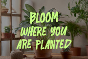 Lemert Morlet Bold Playful Font, a Handwritten Font by Maulana Creative (Thumbnail 2 of 7)