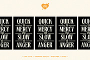 TAN - Harmoni, a Serif Font by TanType (Thumbnail 17 of 19)