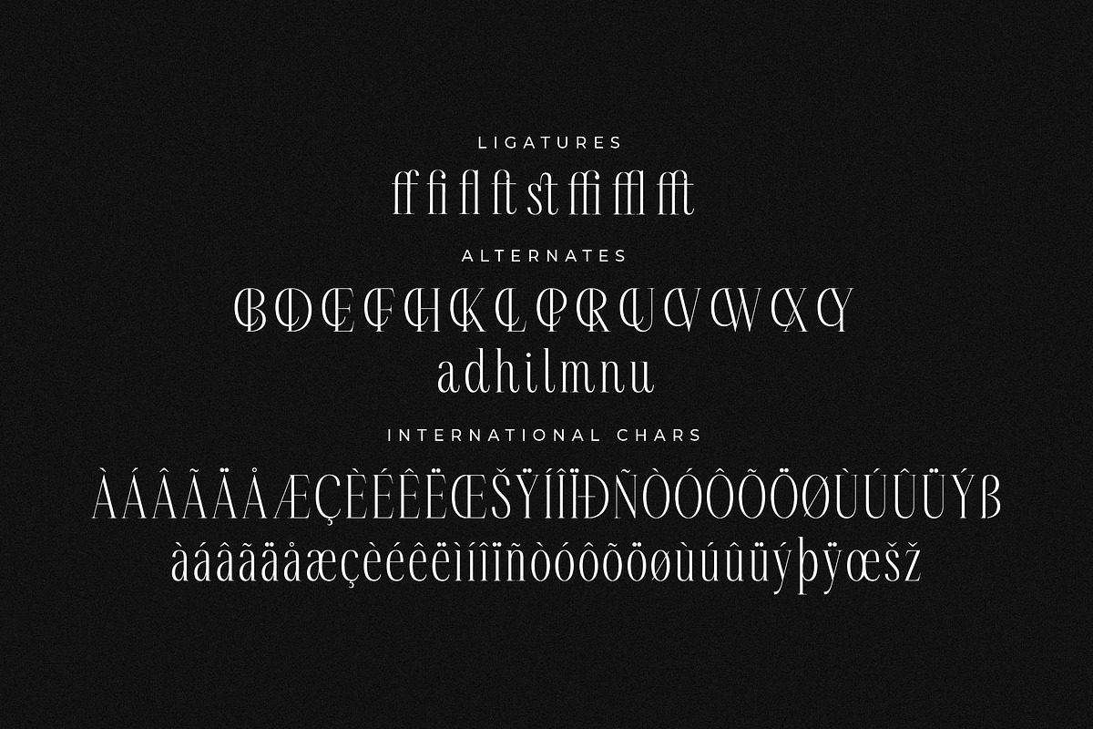 Rastofi Modern Ligature Serif, a Serif Font by Letterena Studios (Photo 14 of 15)