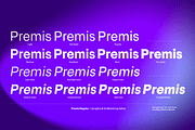 Premis Straightforward Sans Family, a Sans Serif Font by Fenotype (Thumbnail 6 of 13)