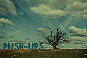 Push Ups Family, a Sans Serif Font by Gustav & Brun (Thumbnail 3 of 5)
