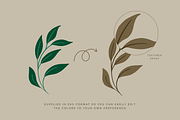 Christmas Botanical Illustrations, an Illustration by Rough Edges Supply Co. (Thumbnail 3 of 9)