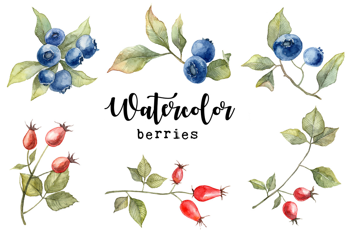 Watercolor berries, a Food Illustration by Dashamoony (Photo 1 of 4)