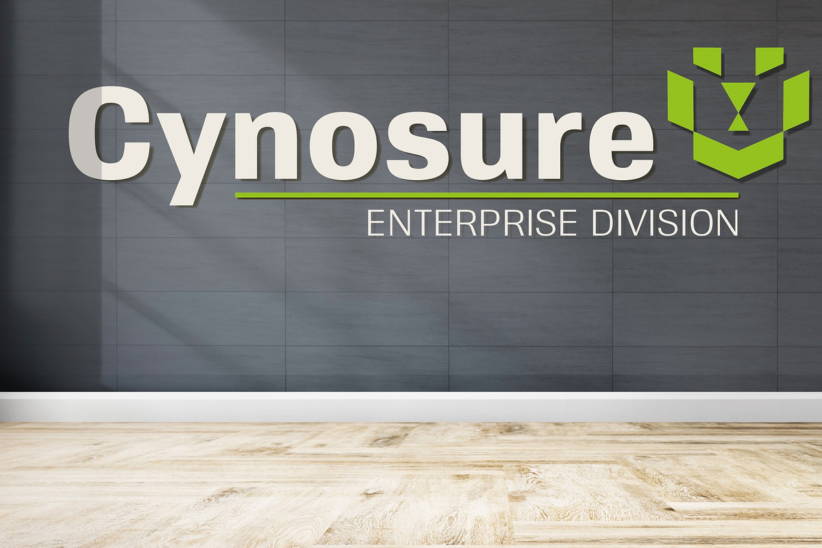 Cynosure, a Sans Serif Font by Device (Photo 2 of 8)