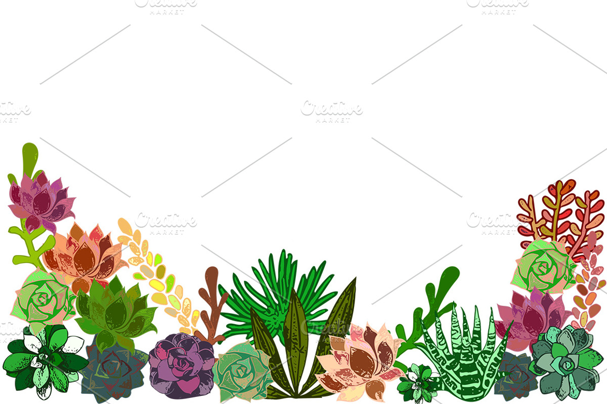 Succulents Bundle PNG + Patterns, an Illustration by Alexandra Fulger (Photo 6 of 8)