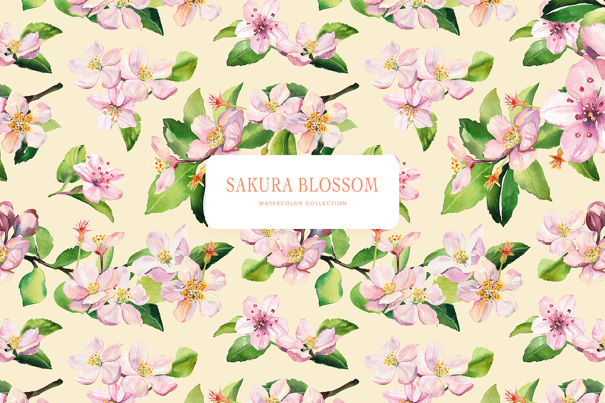 Sakura Blossom patterns, a Pattern Graphic by Volha Studio (Photo 9 of 9)