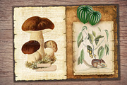 Forest Scrapbooking Kit, an Animal Illustration by Secret Helper (Thumbnail 7 of 9)
