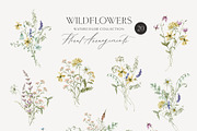 WILDFLOWERS delicate floral clipart, a Person Illustration by long summer (Thumbnail 3 of 12)
