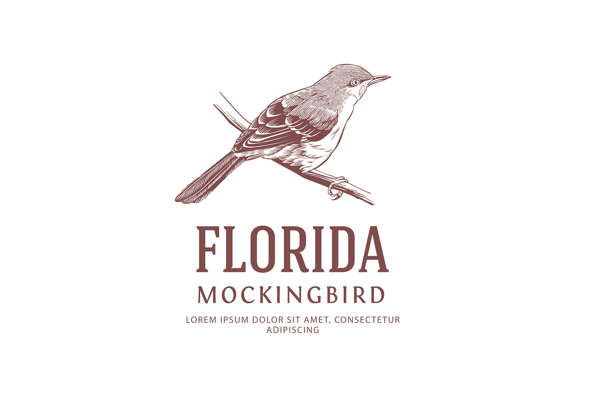 Vintage Bird Logo, a Branding & Logo Template by vatesdesign