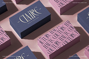 SLTF Rogue Rebellion - Ligature Font, a Serif Font by SilverStag Type Foundry (Thumbnail 28 of 30)