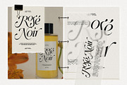 Netsera Calligraphic Serif Typeface, a Serif Font by SilverStag Type Foundry (Thumbnail 19 of 30)