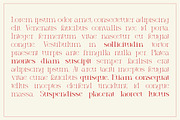 Thornfield, a Serif Font by Lettramina Studio (Thumbnail 5 of 9)