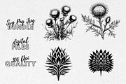 Thistle SVG - Thistle Clipart, an Illustration by YouniqueArtwork (Thumbnail 1 of 5)