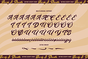 Berdy Danilla | Retro Script Font, a Script Font by Denustudios (Thumbnail 14 of 15)
