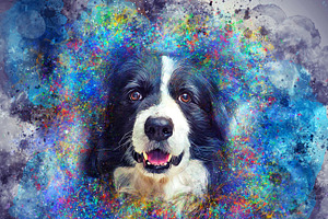 Colored Pet Portrait PS Action