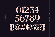Faodu - Branding Logo Font, a Serif Font by Nirmana Visual (Thumbnail 7 of 10)