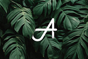 A Lettermarks Collection, a Branding & Logo Template by Musafeer Studio (Thumbnail 4 of 9)