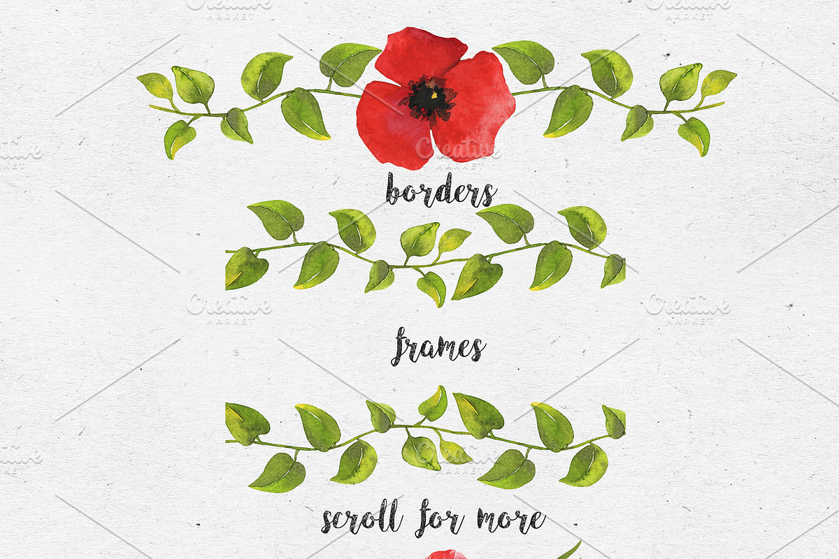 Poppy flowers. Watercolor collection, a Decorative Illustration by Maria's little shop (Photo 3 of 8)