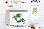 House Plants Collection, a Graphic by SmallHouseBigPony (Thumbnail 5 of 18)