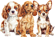 Watercolor Puppies Clipart, an Animal Illustration by PrintHaven Designs (Thumbnail 2 of 10)