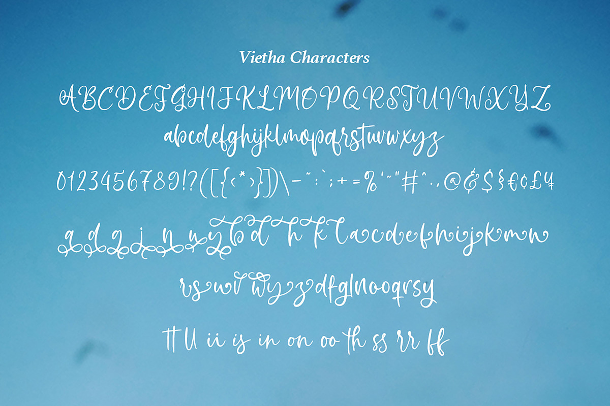 Vietha - Casual Hanwritten Font, a Script Font by Aksapix Studio (Photo 9 of 10)