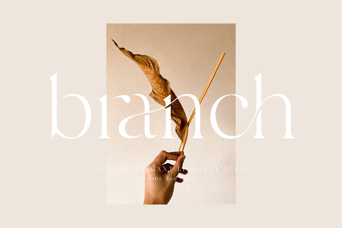 Branch - Modern Ligature Serif, a Serif Font by Sans & Sons (Photo 1 of 11)