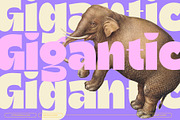 Ragikon - Playful & Chunky Font, a Sans Serif Font by Enxyclo Studio (Thumbnail 3 of 17)