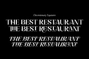 Ceciliany Serif Font Family, a Serif Font by Ryul Davidson (Thumbnail 19 of 25)