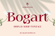 CS Bogart – Aesthetic Font, a Serif Font by Craft Supply Co. (Thumbnail 1 of 8)