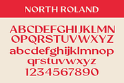 North Roland - Display Sans Serif, a Sans Serif Font by Viswell (Thumbnail 7 of 11)