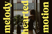 Volkgen Bold Modern Display Serif, a Serif Font by timelesstype.co (Thumbnail 5 of 15)