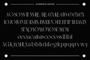 Aestica – Elegant Stylish Serif Font, a Serif Font by kangfont Studio (Thumbnail 5 of 10)