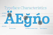 Cabrito, a Serif Font by insigne (Thumbnail 1 of 4)